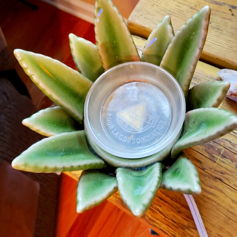 Scentsy Aloe Plant Wax Warmer